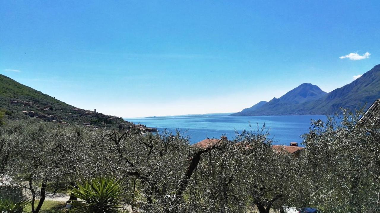 Appartamenti Casa Nina, Lago,Montagne, Uliveti Brenzone sul Garda Buitenkant foto