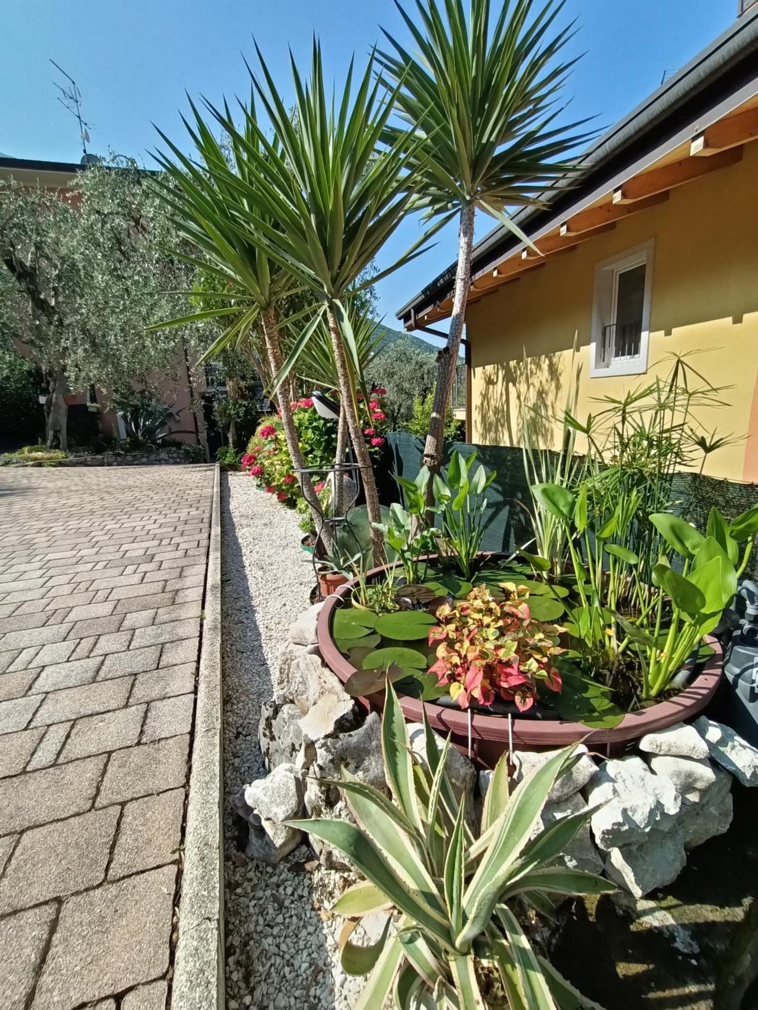 Appartamenti Casa Nina, Lago,Montagne, Uliveti Brenzone sul Garda Buitenkant foto